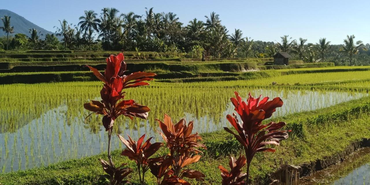 Ibu Ana Homestay Tabanan  Exterior photo